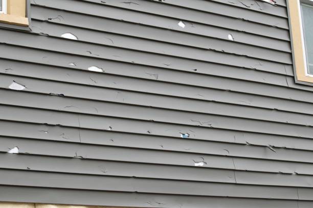 Best Fiber Cement Siding Installation  in Waynesboro, VA